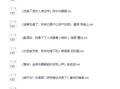 番茄等平台付费小说合集（230本）TXT电子书