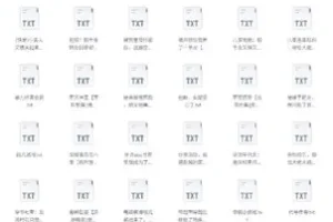 书旗会员完结小说500本精校TXT合集推荐