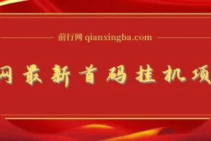 全网最新首码挂机项目，享管道收益