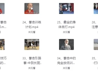 杰森拳击系统教学中英字幕课程