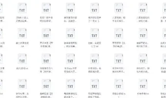 书旗会员完结小说500本精校TXT合集推荐