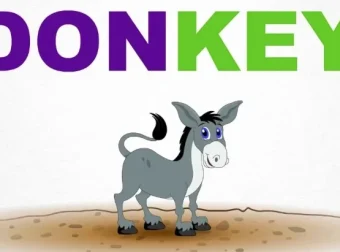 美国原版幼儿园启蒙英语早教课程（1 – 6岁）