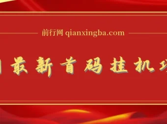 全网最新首码挂机项目，享管道收益