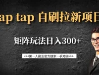 TapTap拉新自刷项目：可矩阵玩法