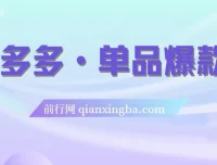 拼多多单品爆款班5节直播课