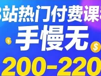B站热门付费课程200 – 220合集