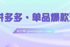 拼多多单品爆款班5节直播课