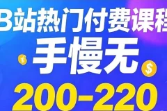 B站热门付费课程200 – 220合集