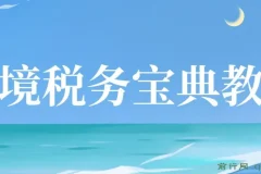 跨境电商全球税务处理策略教程