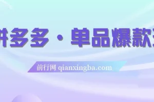 拼多多单品爆款班5节直播课