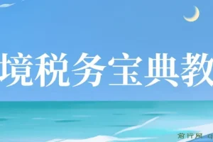 跨境电商全球税务处理策略教程