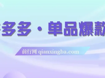 拼多多单品爆款班5节直播课