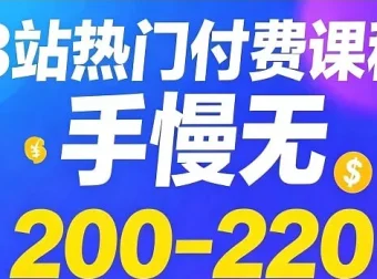 B站热门付费课程200 – 220合集