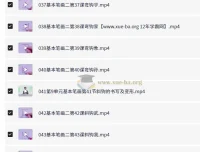 小白练字特训营