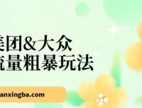 美团与大众流量玩法课程，24节掌握美大秘诀