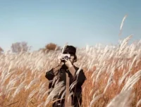 手机摄影训练营：随手拍出大片