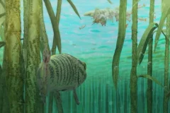 《你好世界》动画全10集