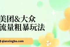 美团与大众流量玩法课程，24节掌握美大秘诀