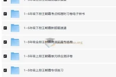 王朝霞1 – 9年级全科全套教辅资料汇总