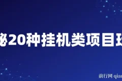 揭秘20种网创挂机类项目玩法