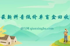 抖音低价单盲盒回收项目：高发货率与稳定收益