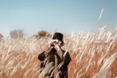 手机摄影训练营：随手拍出大片