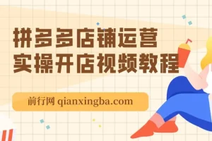 拼多多店铺运营实操开店视频教程