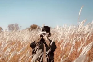 手机摄影训练营：随手拍出大片