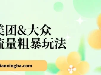 美团与大众流量玩法课程，24节掌握美大秘诀