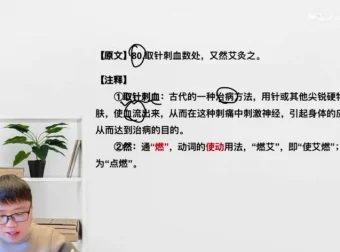 文言文入门必修课：20节精讲与40篇经典带读