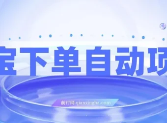 淘宝下单自动项目：保姆级玩法揭秘