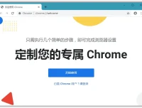 Google Chrome绿色便携版