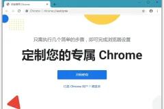 Google Chrome绿色便携版