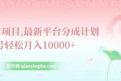 最新平台分成计划风口项目