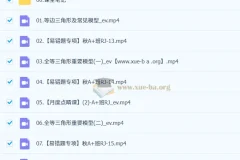 王杭州初二数学A+尖端课程