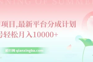 最新平台分成计划风口项目