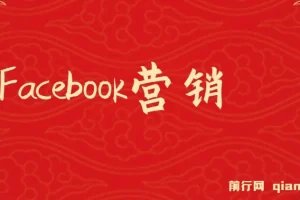 Facebook营销实战：掌握潜在客户开发与再营销技巧