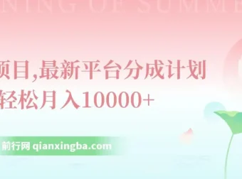 最新平台分成计划风口项目