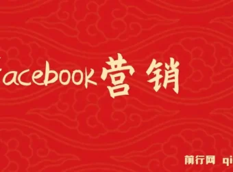 Facebook营销实战：掌握潜在客户开发与再营销技巧