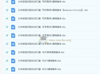 小升初语文总复习专项知识点汇总