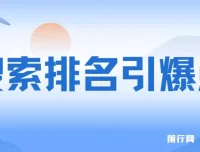 王通《搜索排名引爆点》课程