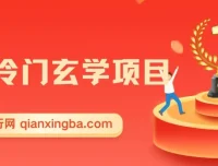 冷门玄学项目课程：零成本高收益