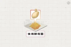 2025高考生物基因工程、跨膜运输与细胞呼吸专题精讲