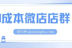 0成本微店店群课程