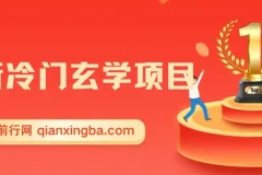 冷门玄学项目课程：零成本高收益