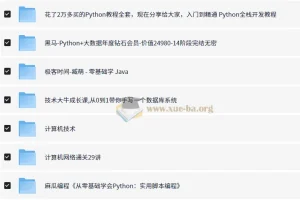 编程开发课程合集：Python、Java、算法、Web等技术