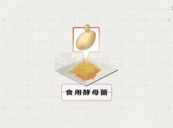 2025高考生物基因工程、跨膜运输与细胞呼吸专题精讲