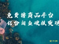 蚁淘生活与闲鱼双平台变现课程，小白轻松上手