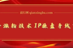 知乎涨粉与IP操盘线下课