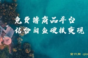 蚁淘生活与闲鱼双平台变现课程，小白轻松上手